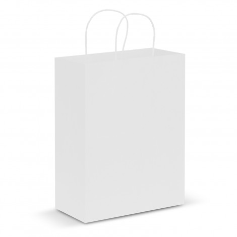 Paper Carry Bag - Large - Image 3
