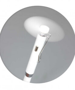 Fan-Tastic Pen